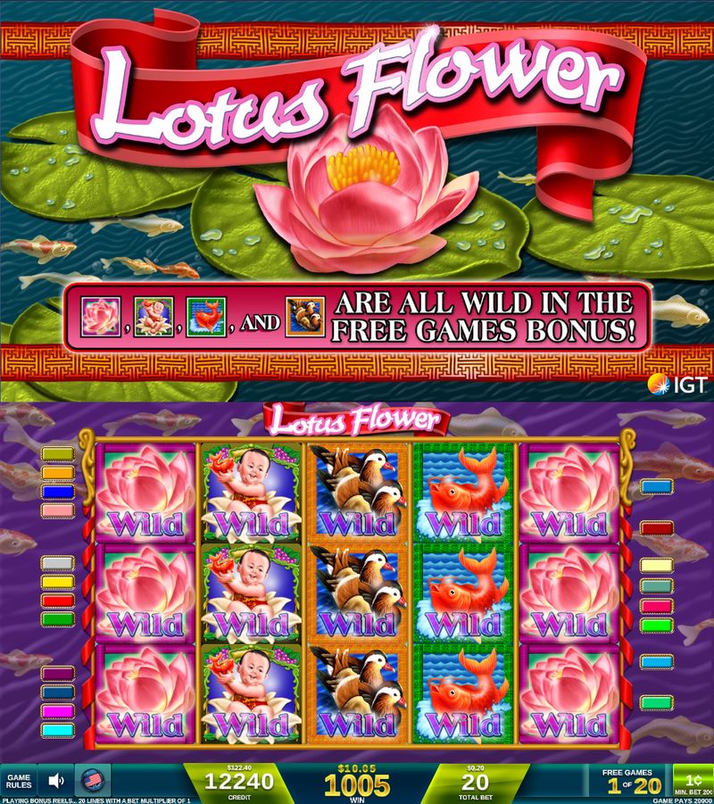 Lotus Flower bonus screen showing flower, boy, duck, and goldfish Wild symbols